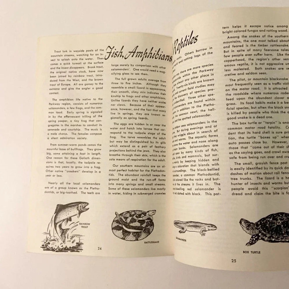 Vintage 1977 Nature Along The Blue Ridge Parkway Travel North Carolina Booklet - Picture 12 of 16